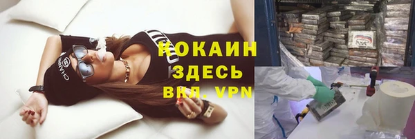 бошки Коряжма