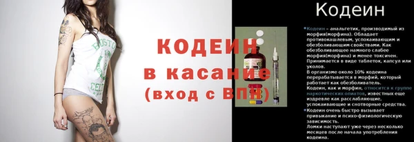 круглые Корсаков