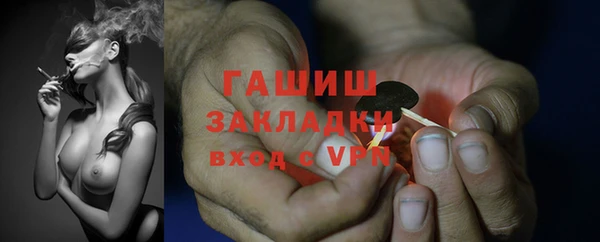 бошки Коряжма
