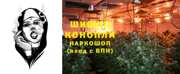 бошки Коряжма
