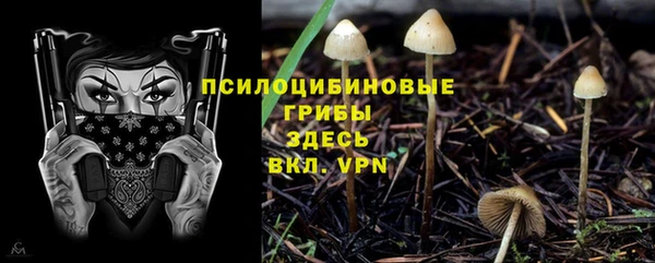 круглые Корсаков