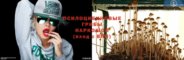 круглые Корсаков