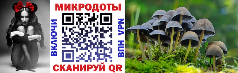 Псилоцибиновые грибы GOLDEN TEACHER  Купить где  Новохопёрск 